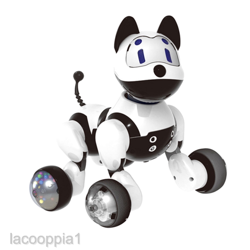 robot dog that follows you
