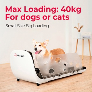 Xiaomi YESOUL Q1 Pet Dog Cat Kitten Puppy Indoor Treadmill w/ a Smart Feeder (dog and cat toys） #2