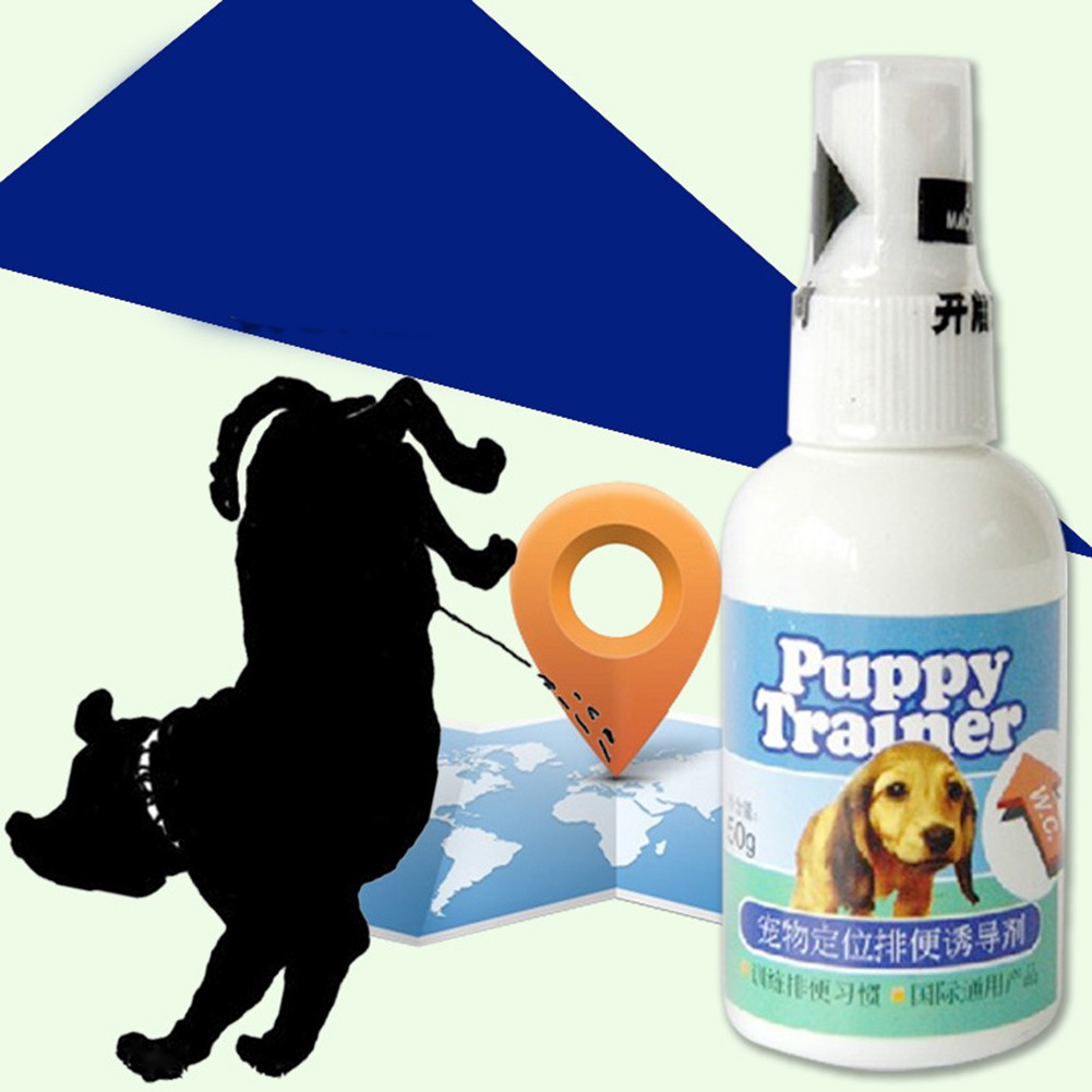 dog urine scent attractant