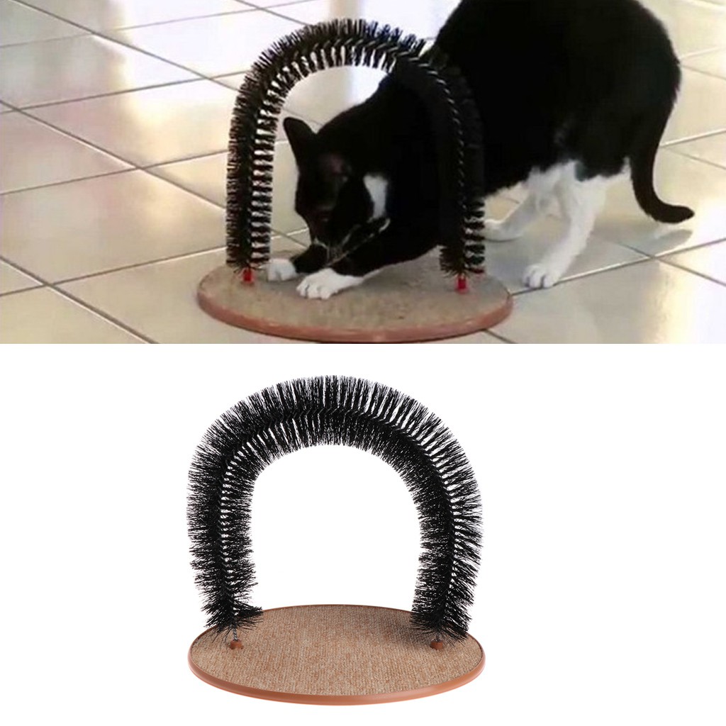 cat groomers that come to your home