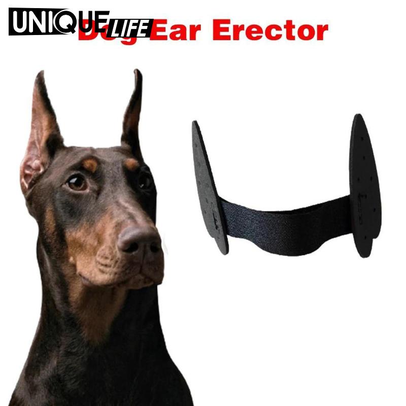 dog-ear-stand-up-support-ear-care-erect-ear-ear-sticker-tools-shopee