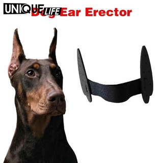 Dog Ear Stand up Support Ear Care Erect Ear Ear Sticker Tools