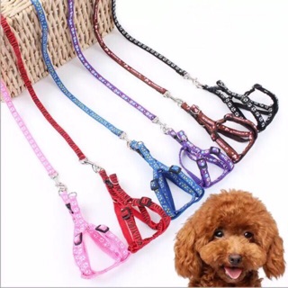 【COD】Pet Dog leash harness dog leash(Small)
