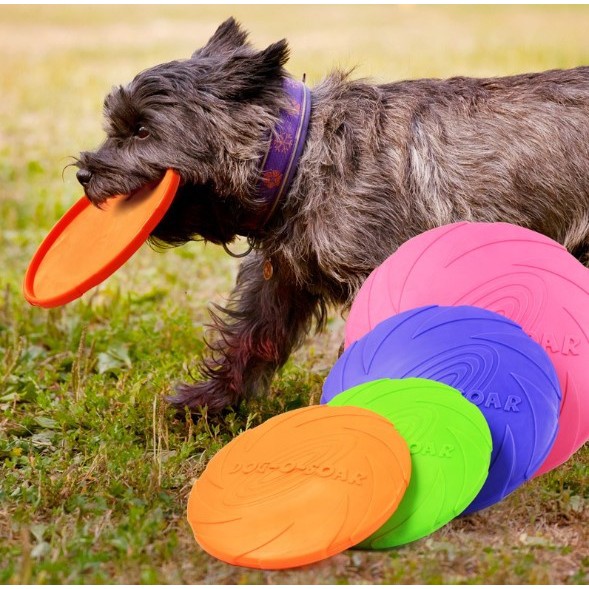 rubber dog frisbee
