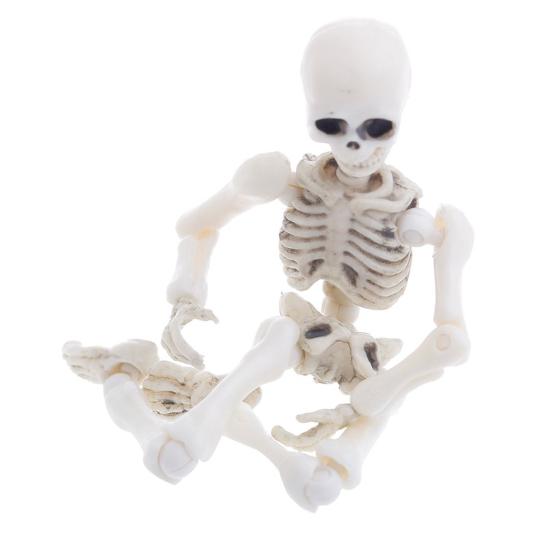 toy skeleton bones
