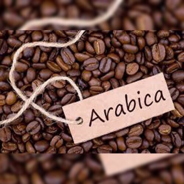 arabica coffee beans