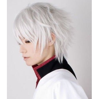 Male Cosplay Wigs Silver White Shopee Philippines