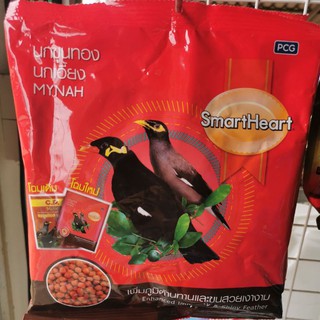 Khunthong Bird Food​ Scorch​ MYNAH Pressed Like​ Kanoklaw​ Sarikadong​ Owl​ SmartHeart #1