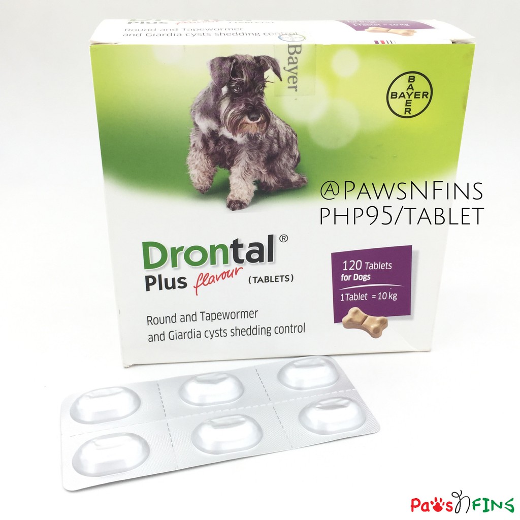 drontal plus for dogs