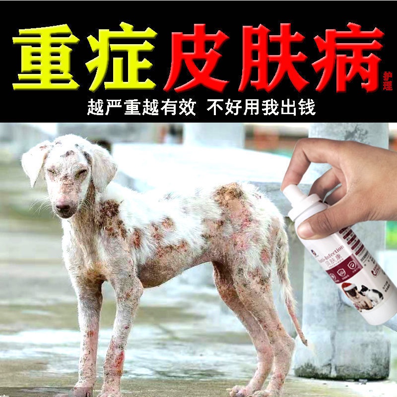 Dog skin disease spray dog ringworm Cat Moss medicine care fungus