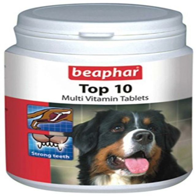 beaphar top 10 multivitamin tablets for dogs