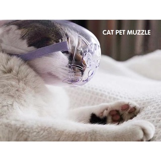 Cat Muzzle Anti-Bite Anti-Called Cat Mouth Cover Transparent for All Cat and Pointed Mouth Dog