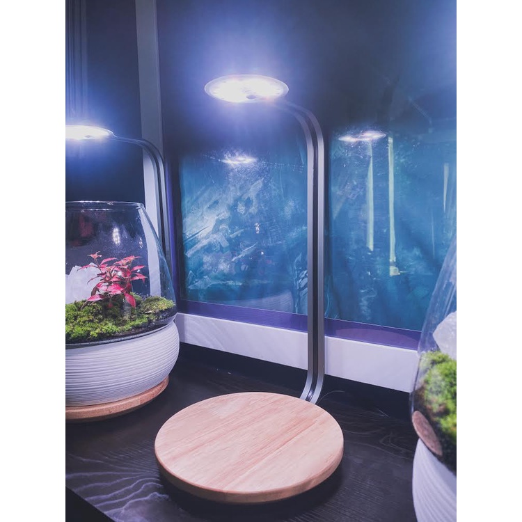 AQ -DOT Ledstar Terrarium Light/Wabi-Kusa/Lamp/Led #1