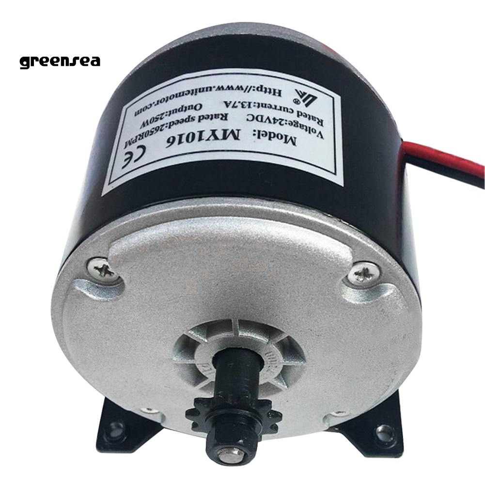 250w electric motor