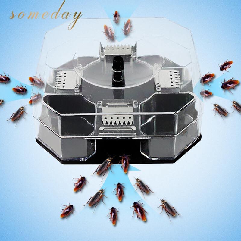 Someday Cockroach Ant Catcher Temptation Trap | Shopee Philippines