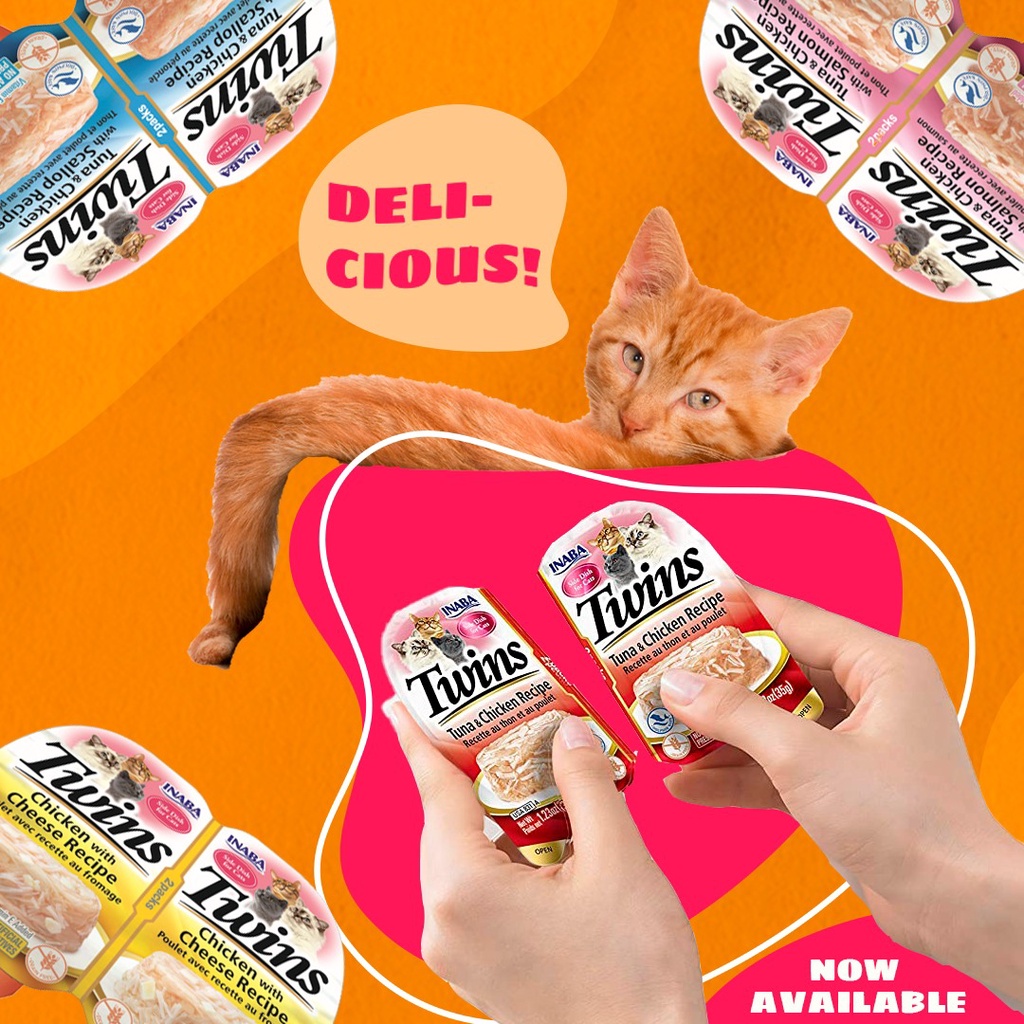 Inaba Twin Cups Cat Wet Food (2x35g) Shopee Philippines