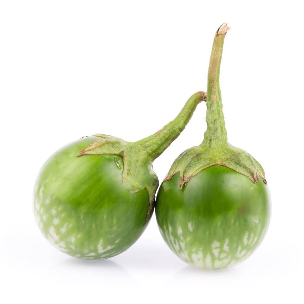 Apple Green Eggplant Information And Facts | atelier-yuwa.ciao.jp