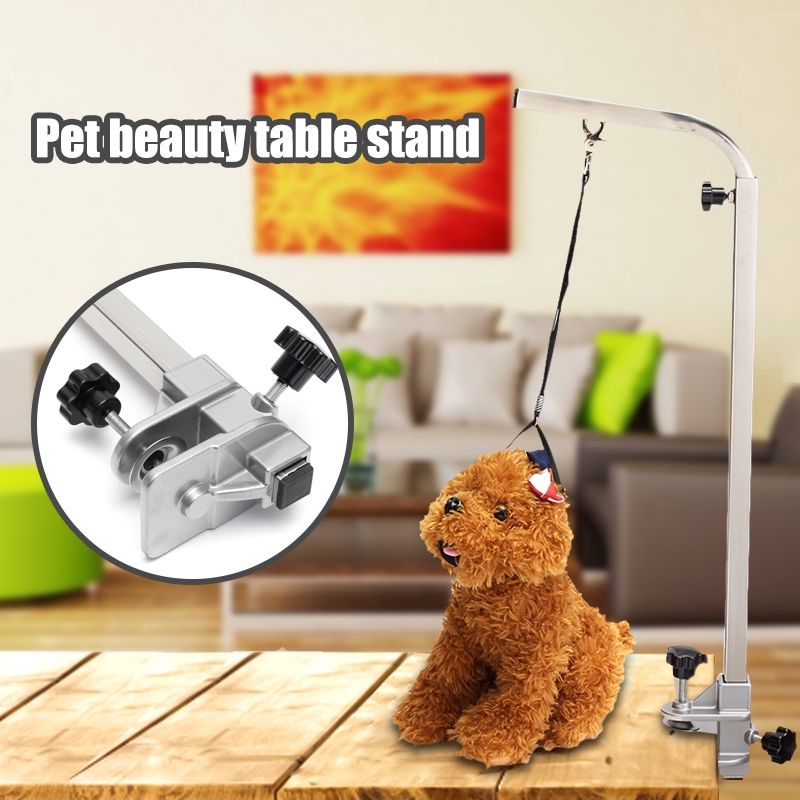 portable pet grooming