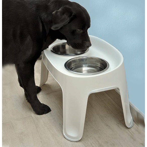 Moderna Skybar Large Elevated Dog Feeder (w/ dog bowl) Shopee Philippines