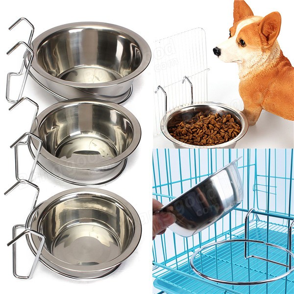 puppy water bowl