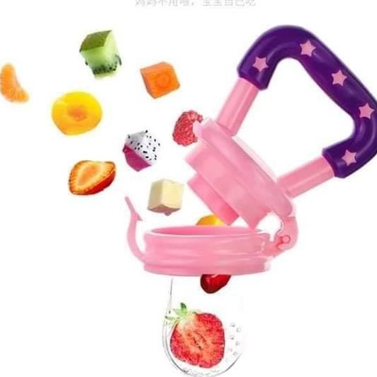 new baby fruit feeder