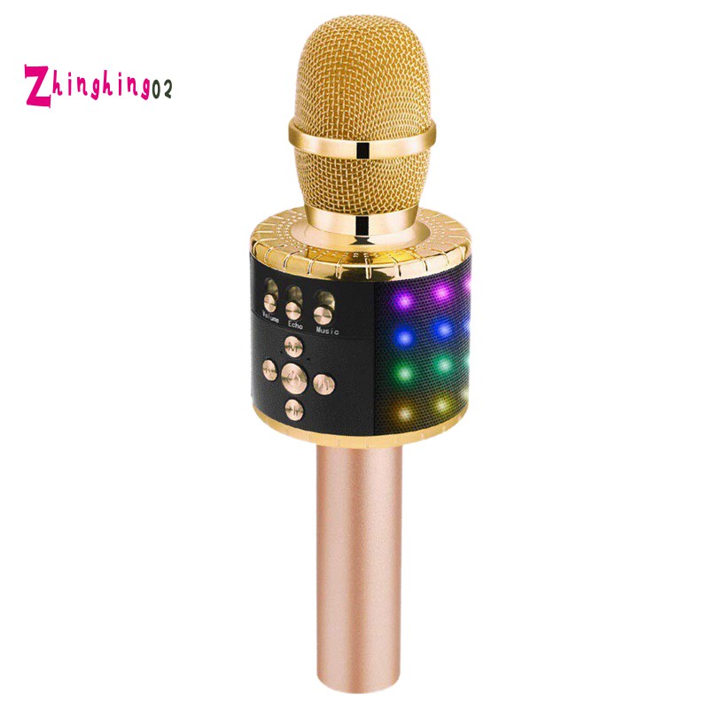 handheld microphone with speaker