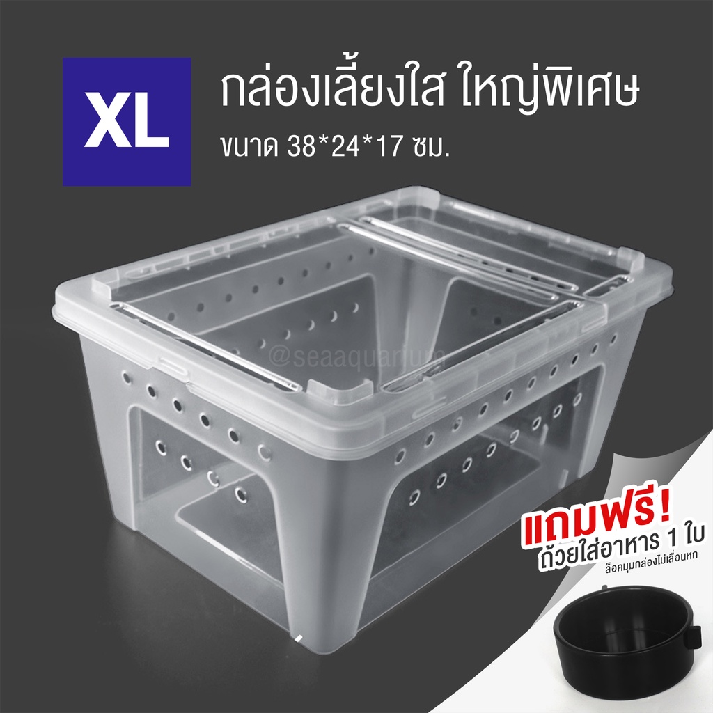Crawling Pet Box Turtle Frog Gecko Snake Transparent Animal Box. There Are Holes Around The #2