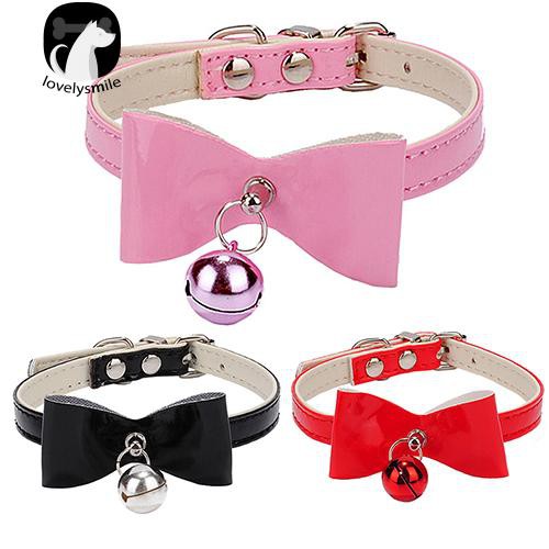 xs dog collar