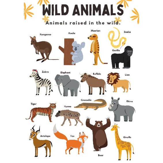 Laminated Wall Chart Wild Animals A4 Kids Learning Materials | Shopee ...