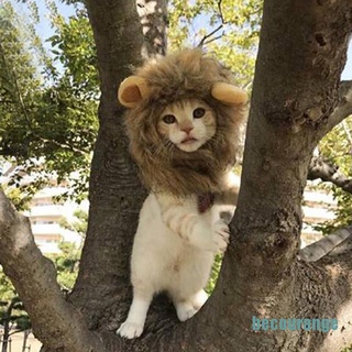 [becourange]Pet dog hat costume lion mane wig for cat halloween dress up with ears