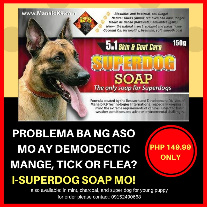 Is Alum Harmful To Dogs