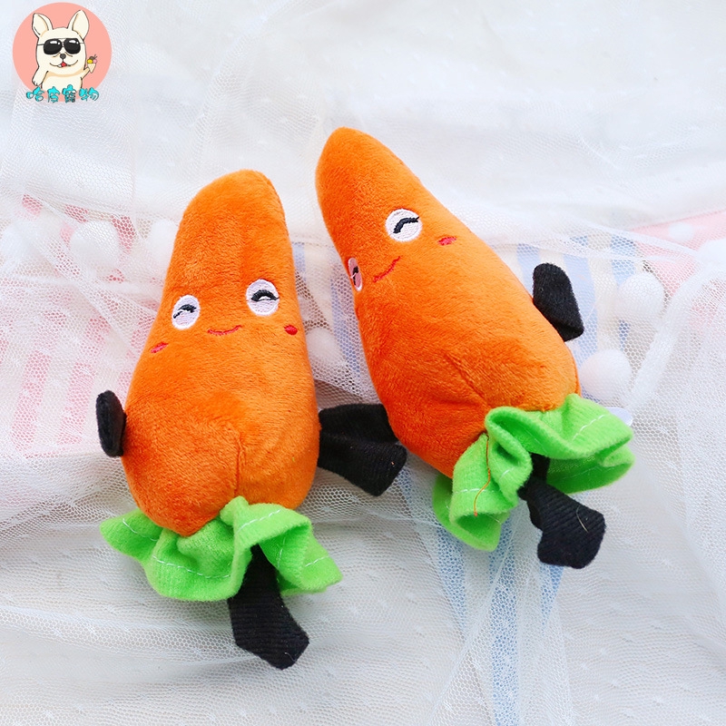 carrot teddy