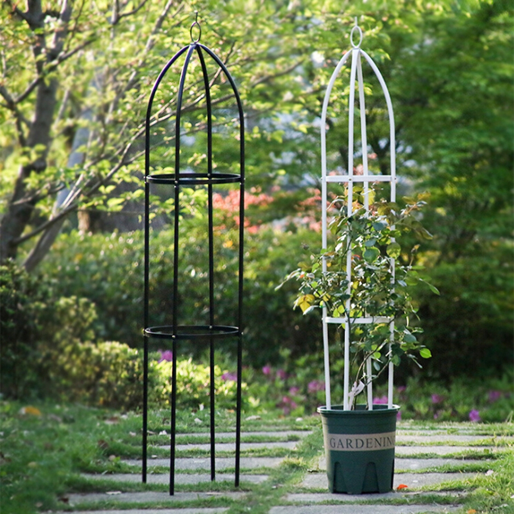 garden plant climber frame