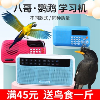Starling talking learning machine parrot learning repeating machine mynah recording teaching speech