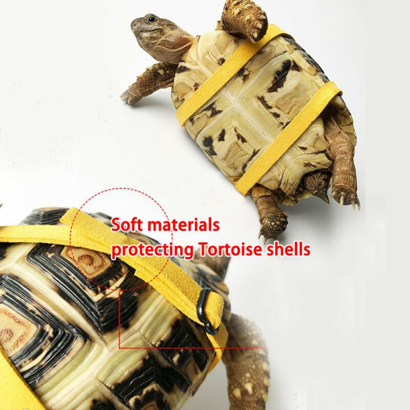 Lead Control Rope Turtle Rope Pet Tortoise  Rope Chest Collar Rope Leather Harness Strap #7
