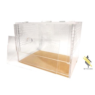 Acrylic Tarantula Enclosure - 8x6x6 inches (Terrestrial) #1