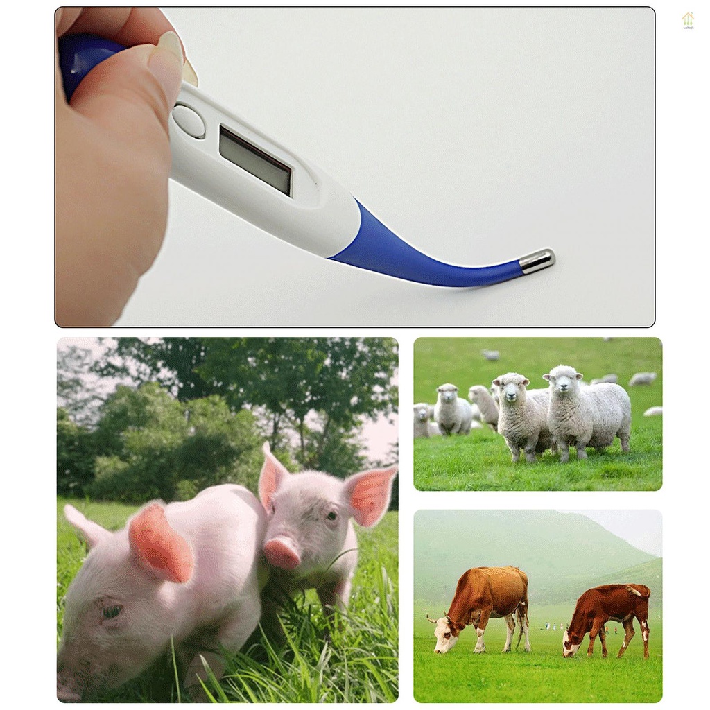 Animal Thermometer Digital LED Display Thermometer Fast Reading Accurate Waterproof Pet Digital