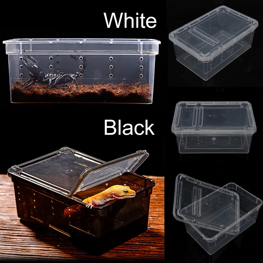 ABS Box Insect Reptile Transpo rt Breeding Feeding H_WL | Shopee ...