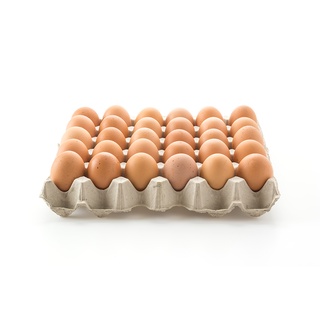 Zagana Egg Brown 1 tray