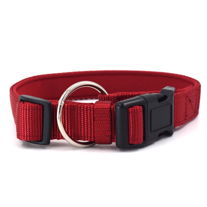 o ring dog collar