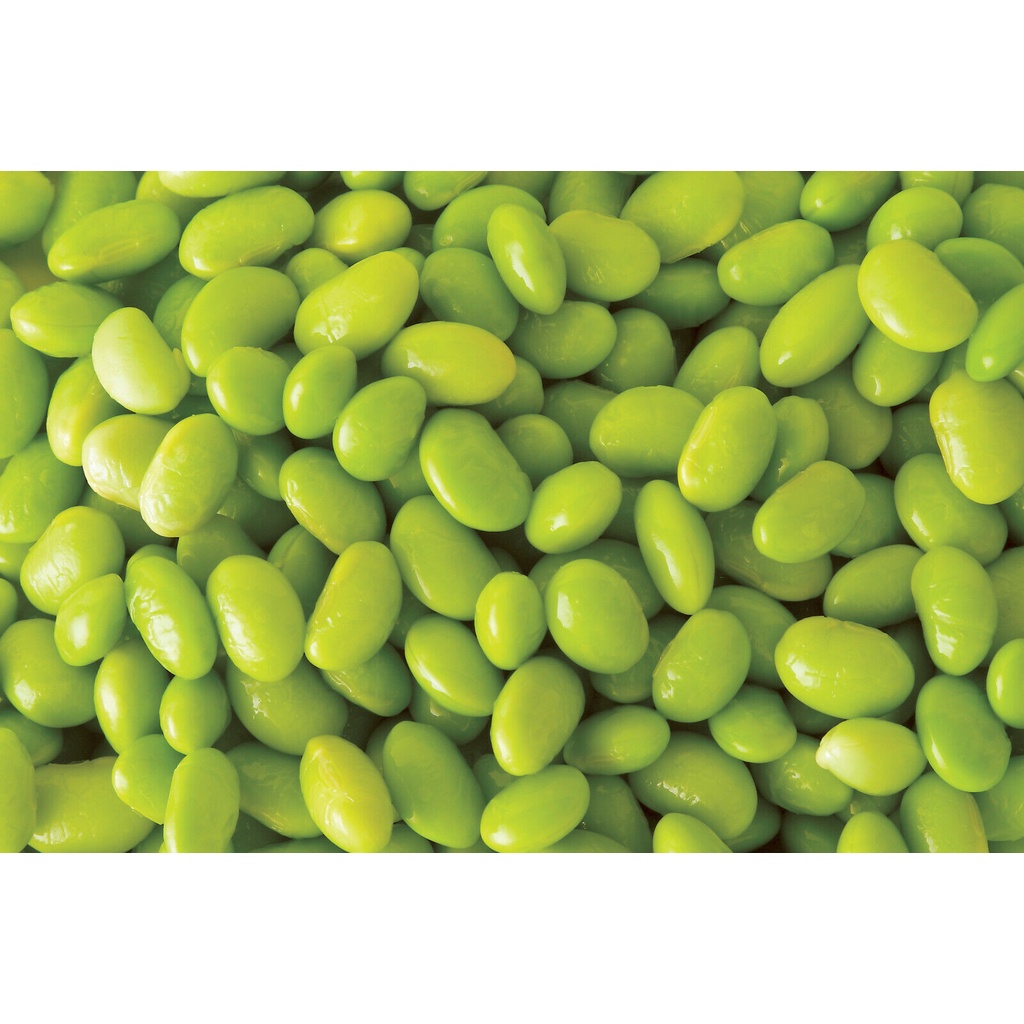 Guaranteed germination rate 20 Edamame Green ENVY SOYBEAN Glycine Max