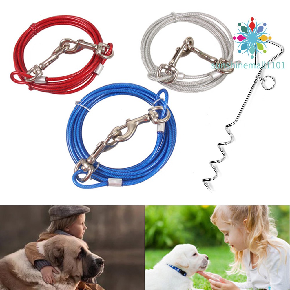 stake and leash for dogs