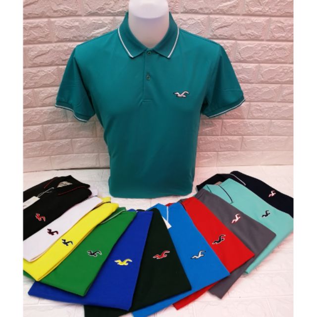 hollister polo t shirts