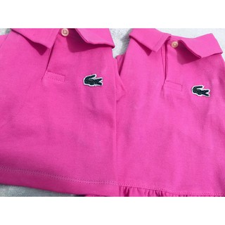 lacoste dog clothes