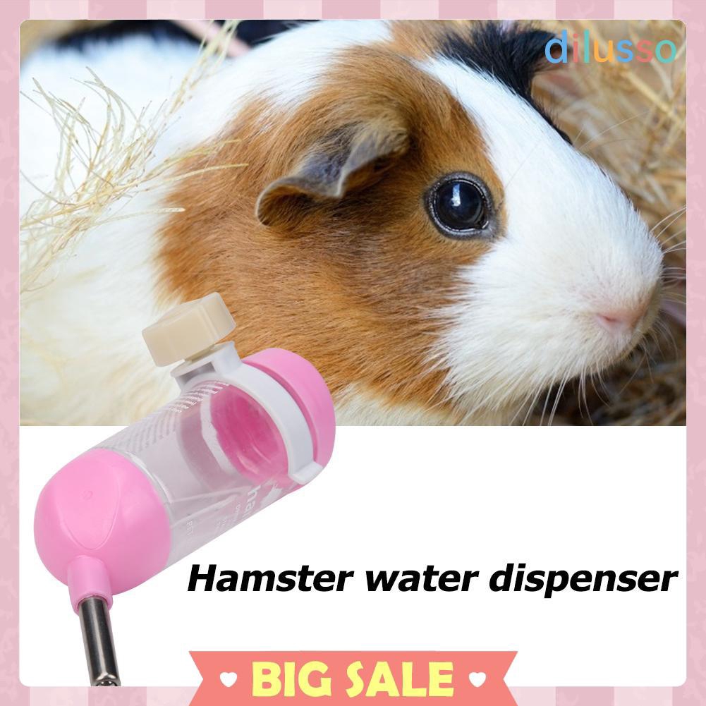 hamster water