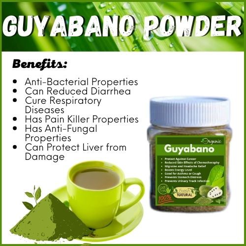 100 Pure Guyabano Soursop Leaves Powder 100g Shopee Philippines