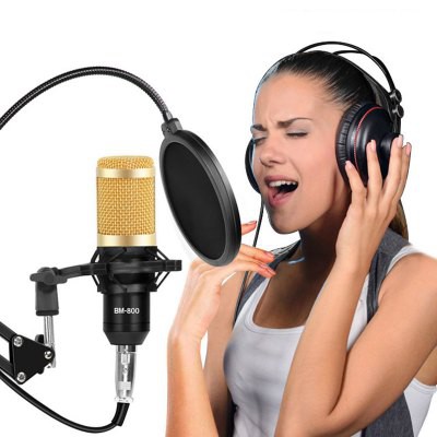 Professional Condenser Sound Recording Microphone Set And V8 Sound Card Mb 800 Set Sound Card Shopee Philippines