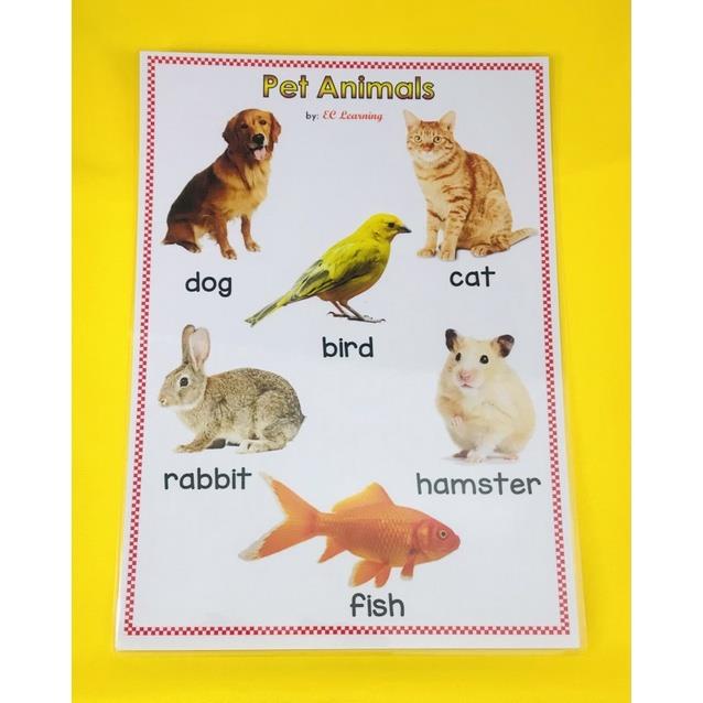 A4 Pet Animals Laminated Educational Chart For Kids Wall Chart Shopee Philippines