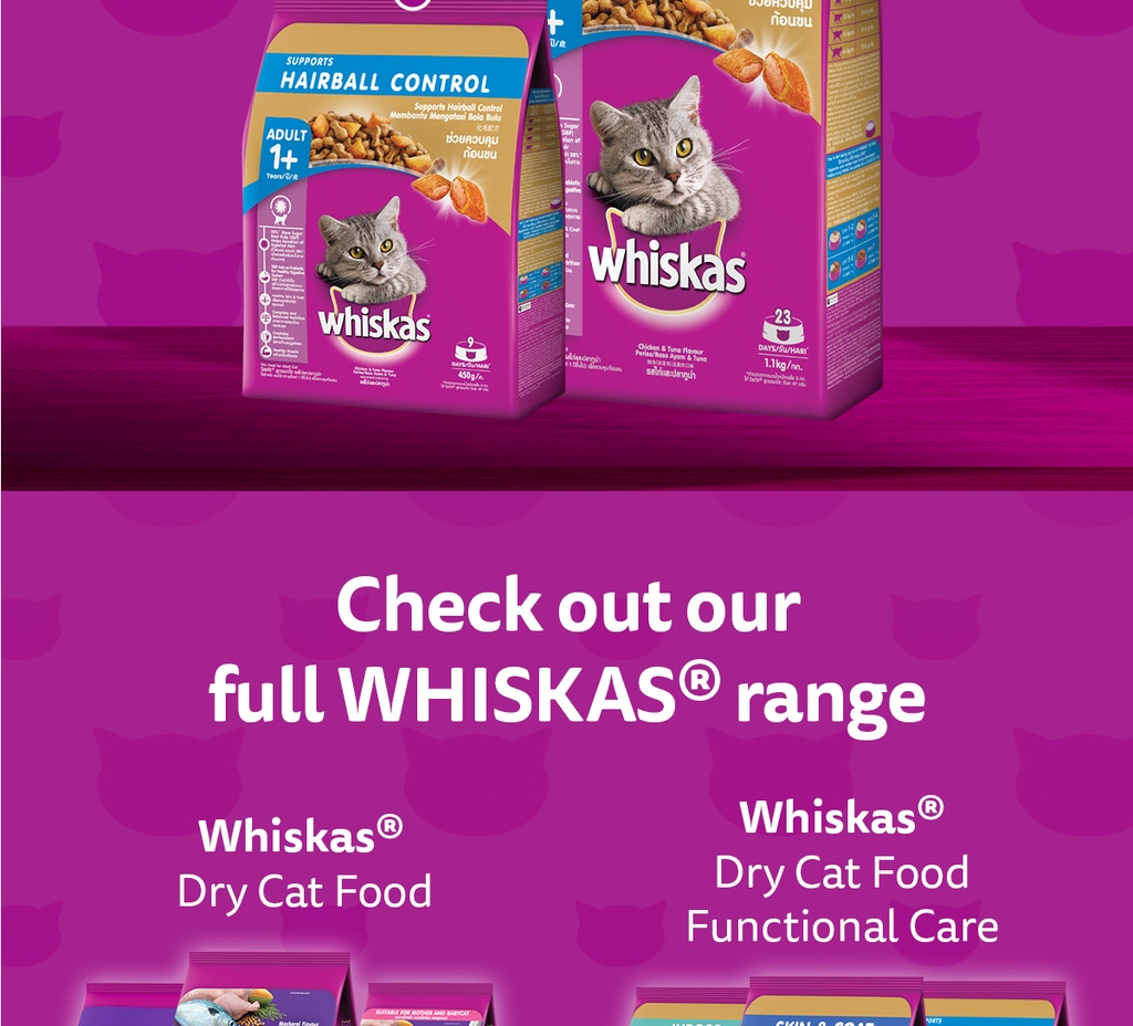 WHISKAS Indoor Cat Food for Adult Cats, 1,1kg. Cat Food Dry with Adult