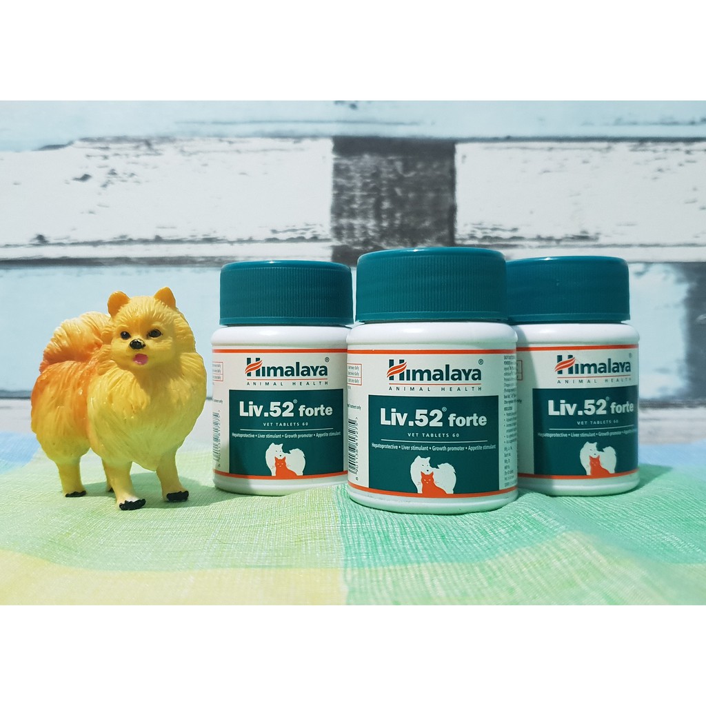 Himalaya Liv 52 Forte Vet Tablets for Liver Care of Dogs and Cats (60 tabs)  | Shopee Philippines